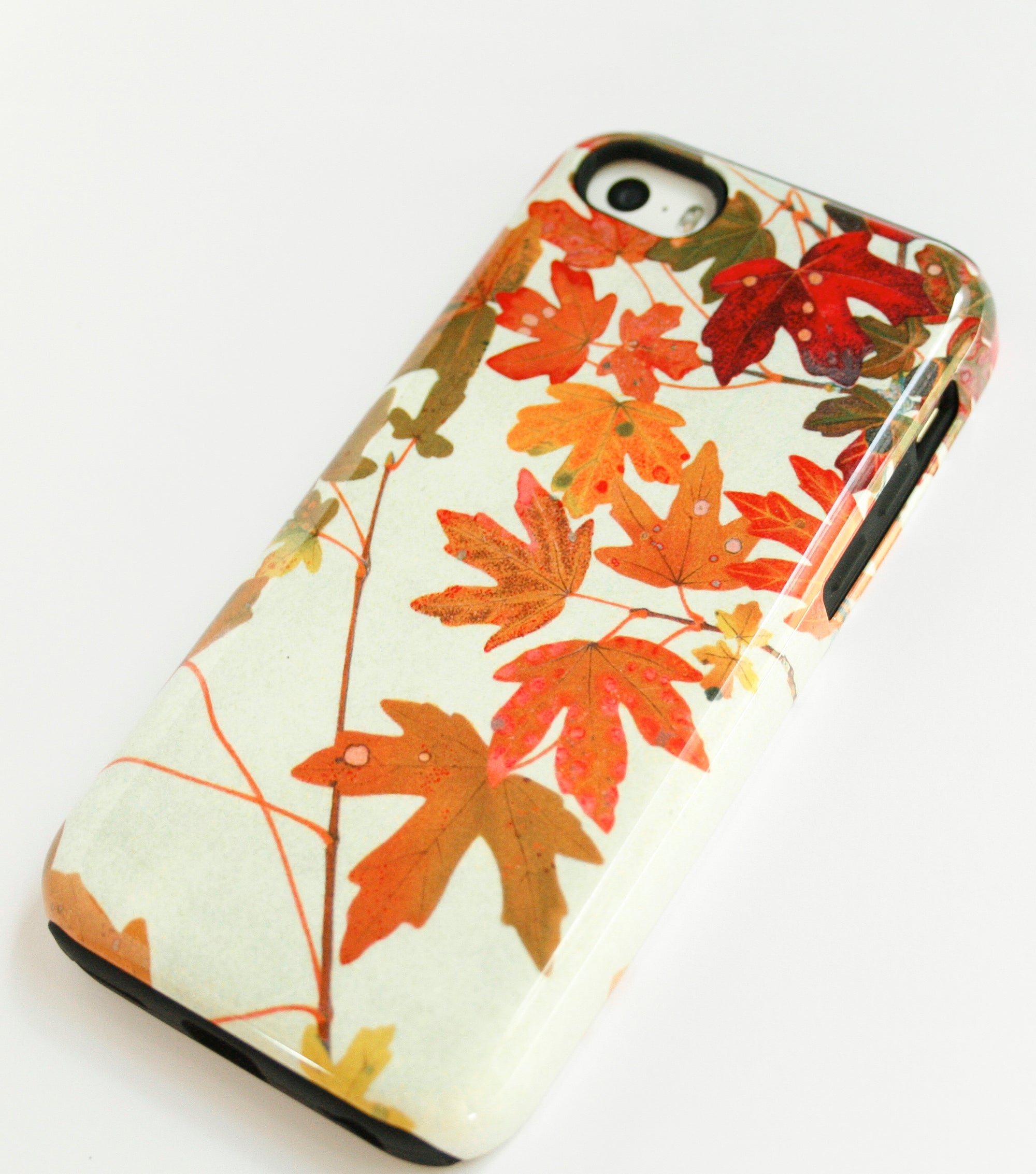 fall leaves iPhone xs phone case
