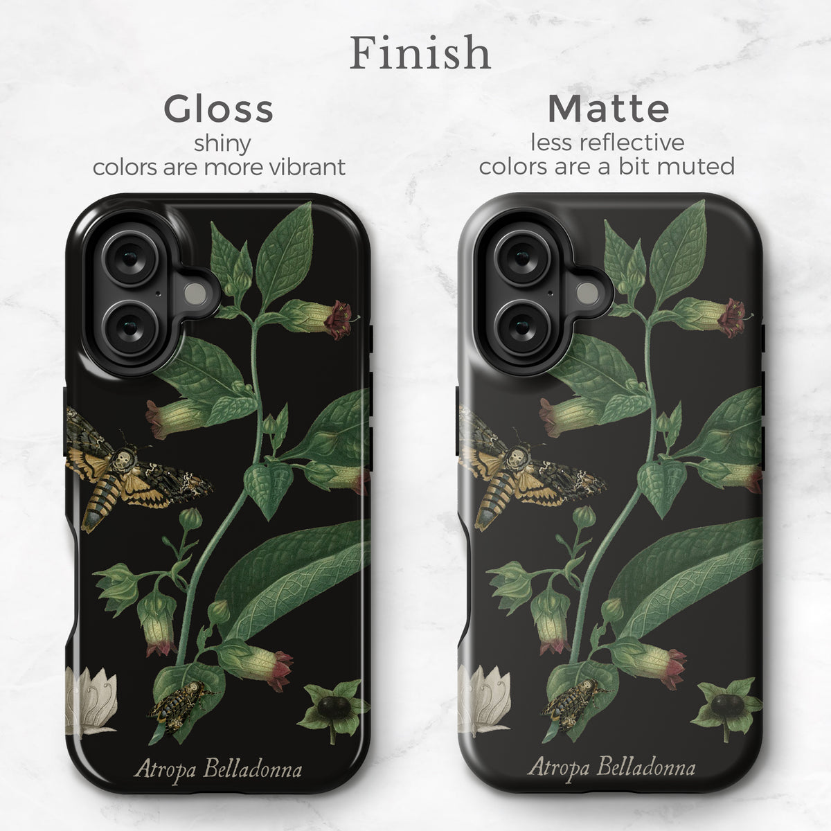 Belladonna Case Belladonna Case