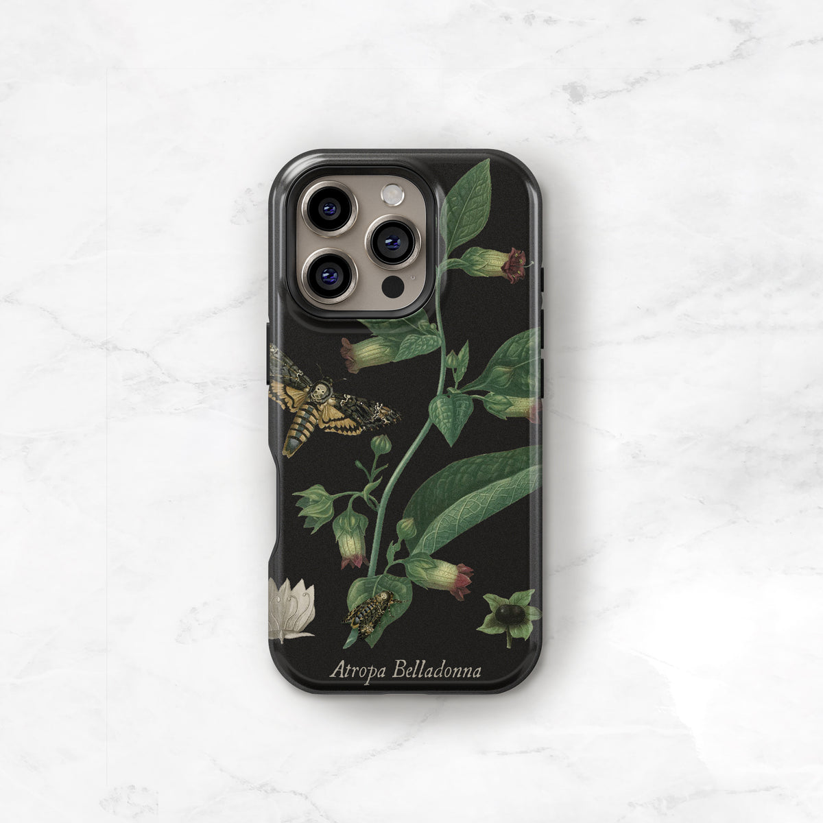 Belladonna Case