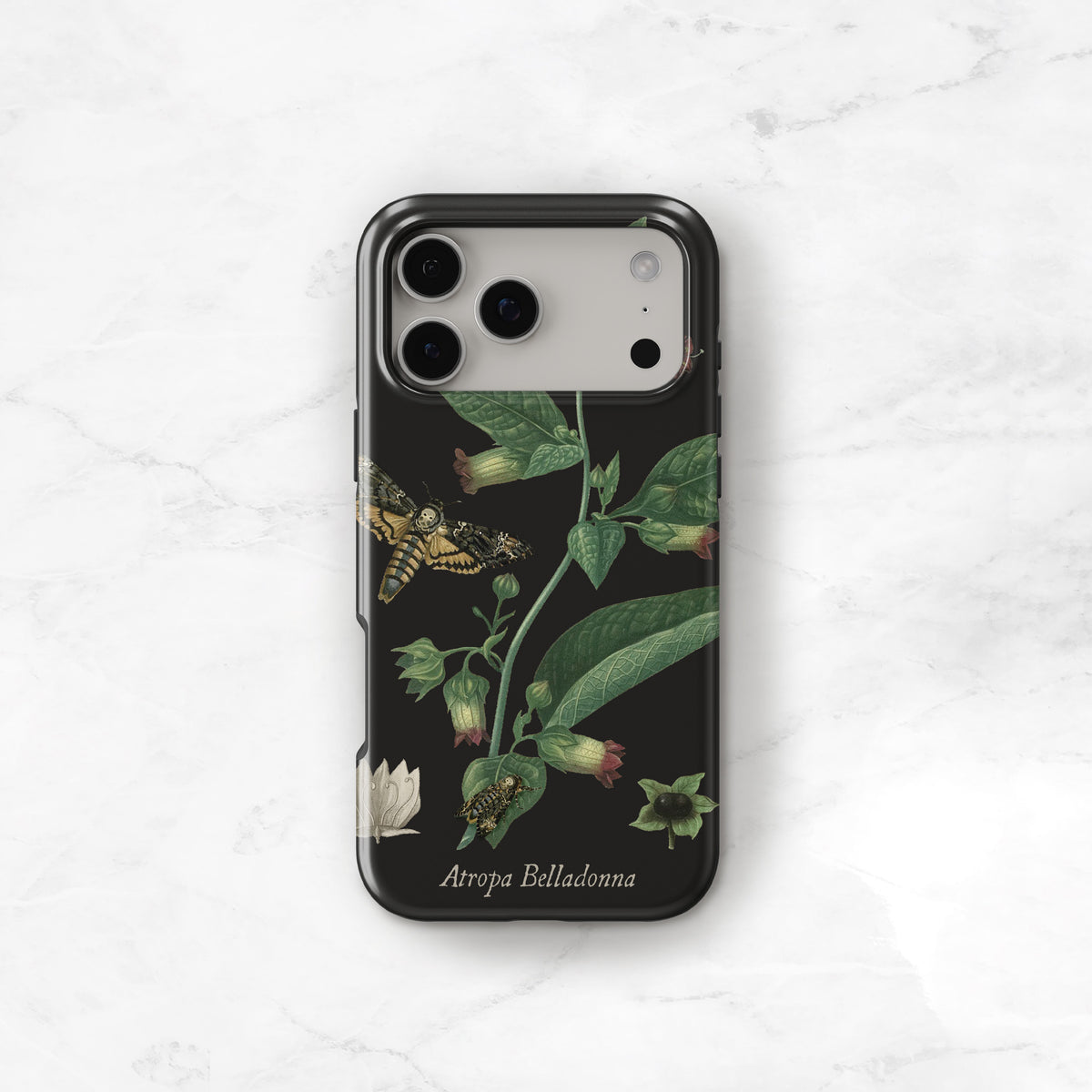 Belladonna Case