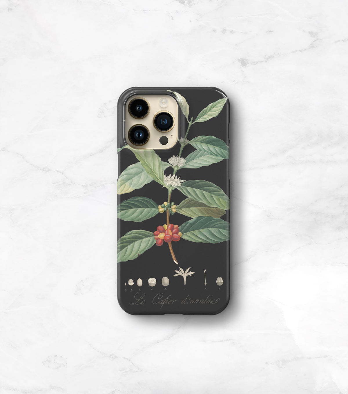 a phone case with a plant design, including a coffee bean and leaves, printed on it.