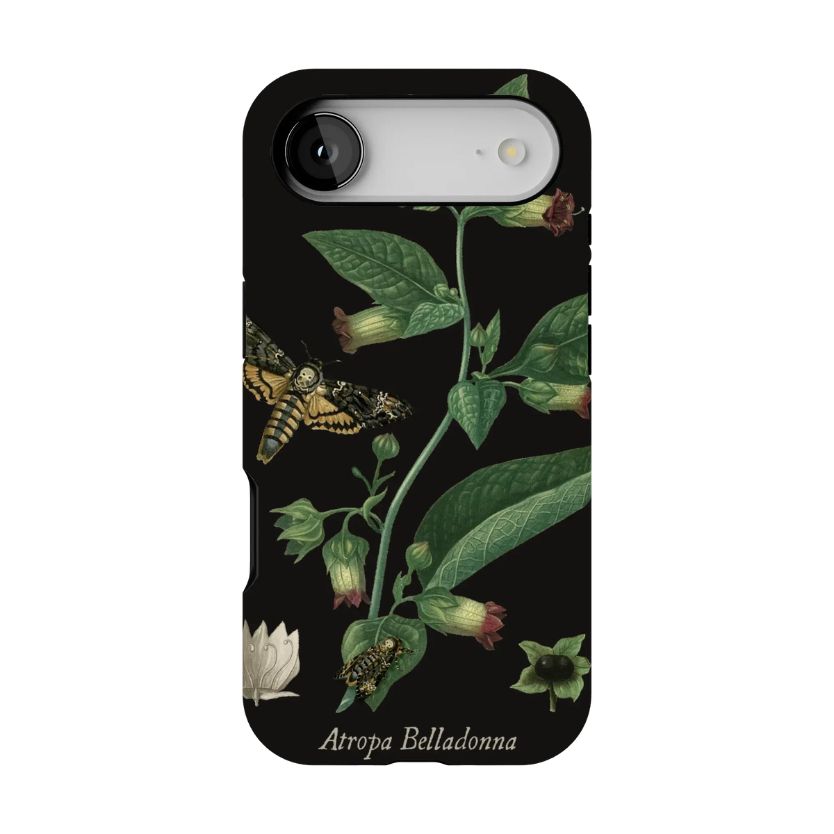 Belladonna Case