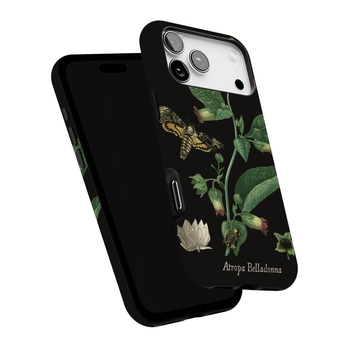 Belladonna Case