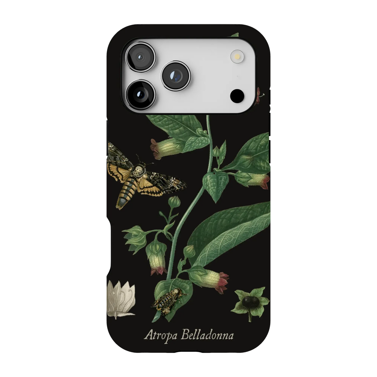 Belladonna Case
