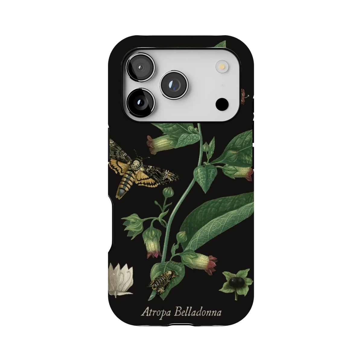 Belladonna Case