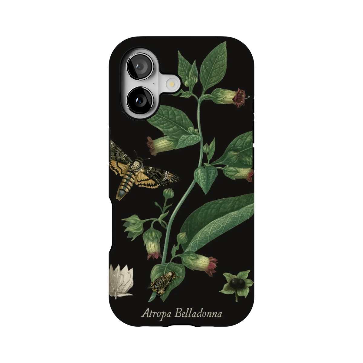 Belladonna Case