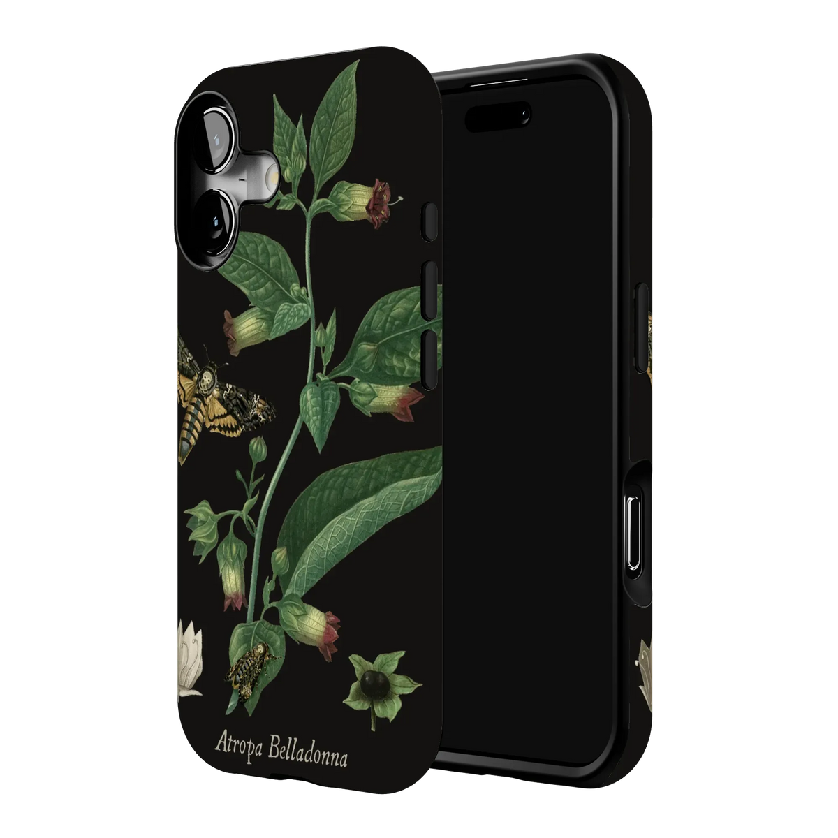 Belladonna Case