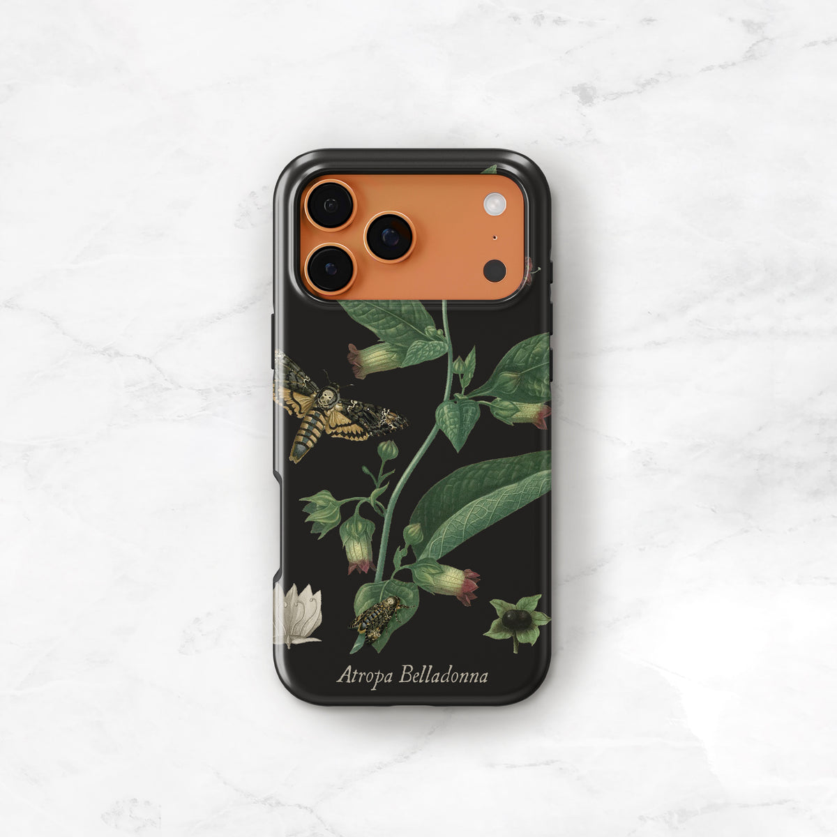 Belladonna Case