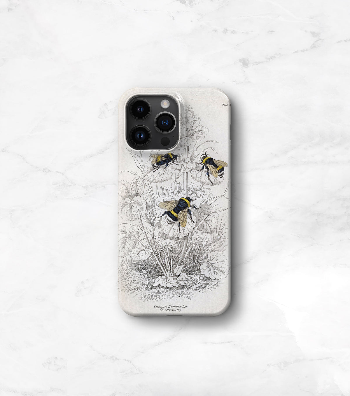 Bee Botanical Case