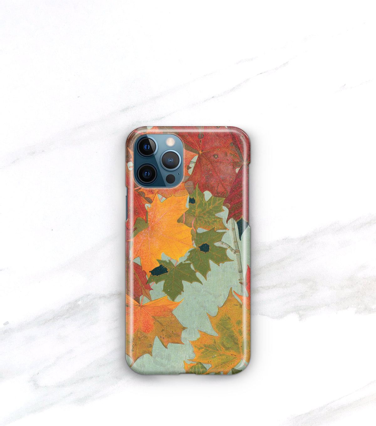 Autumn Case