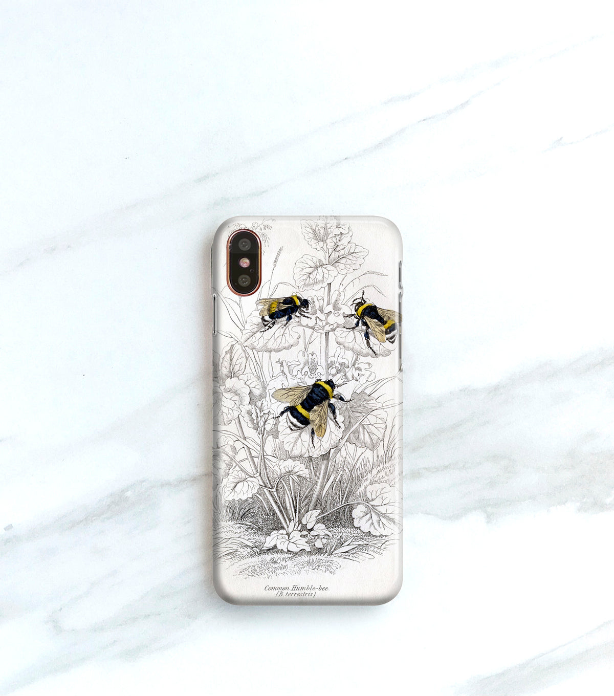 Bee Botanical Case