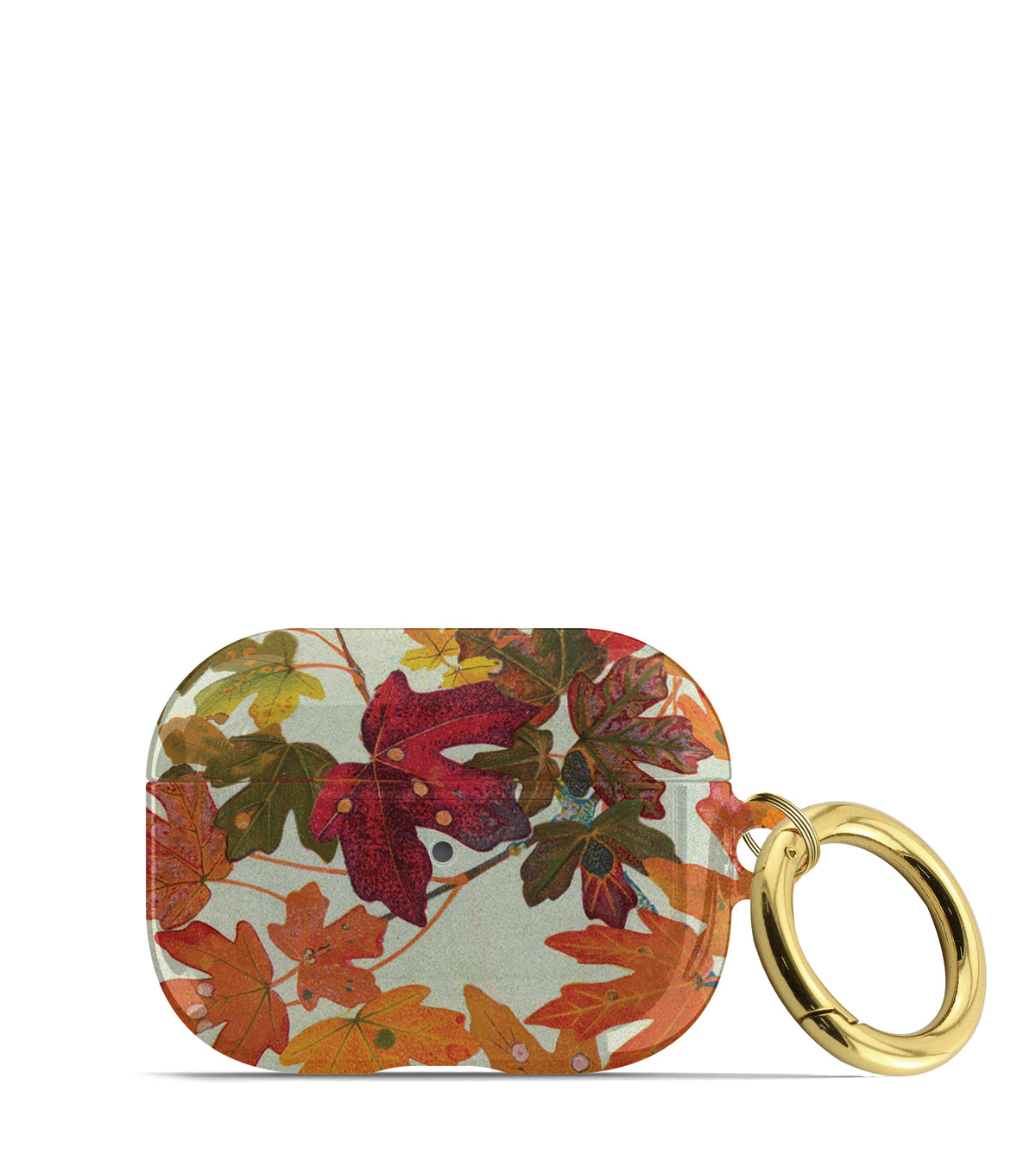 Fall Leaves AirPod Case