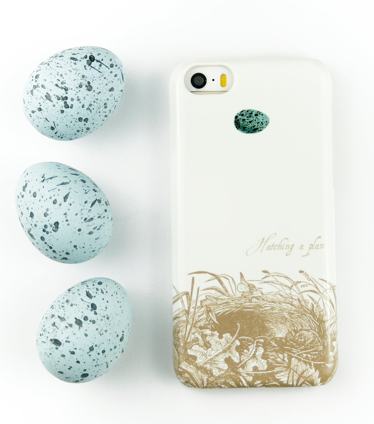 Hatching a Plan with eggs