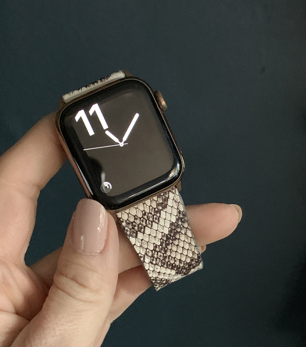 Roccia Snake Print Band